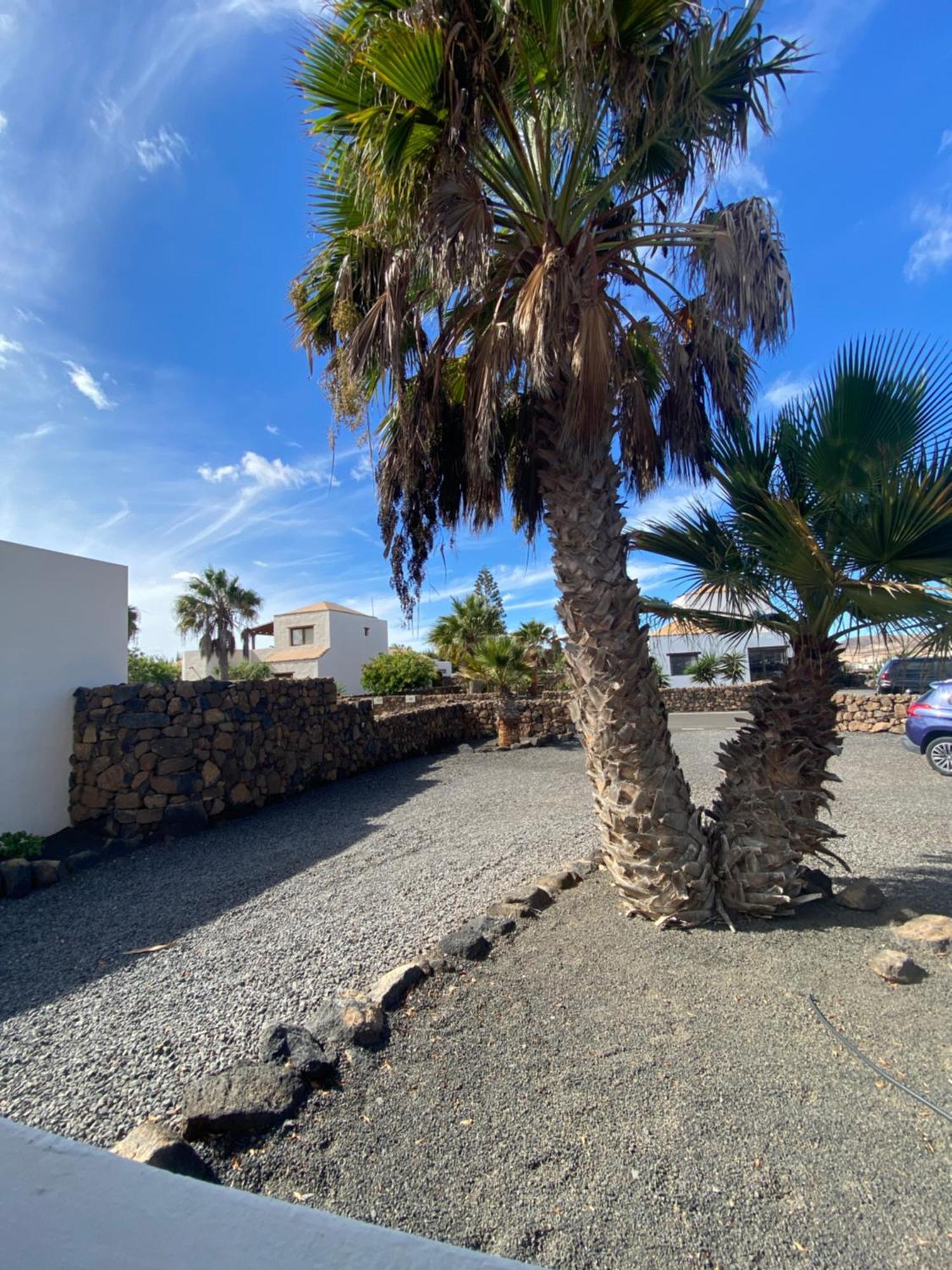 Villa De Suenos Lajares Exteriör bild